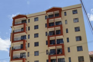 Essential Apartment